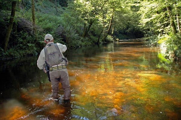 Dordogne is one of the most famous and picturesque regions in France. 