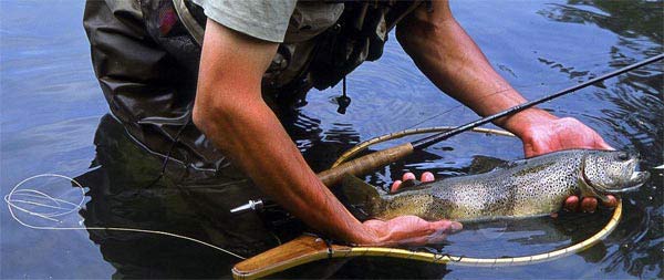 Guided Fishing is included in all our packages