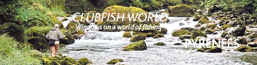 Fly fishing adventures in the Pyrenees