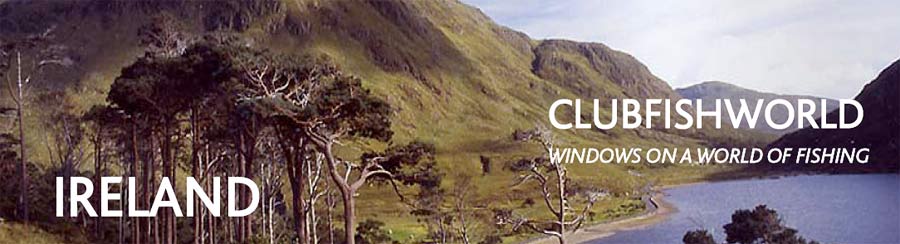 Fly fishing in Ireland