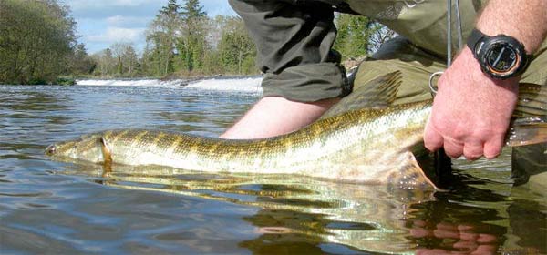 Pike fishing in Ireland
