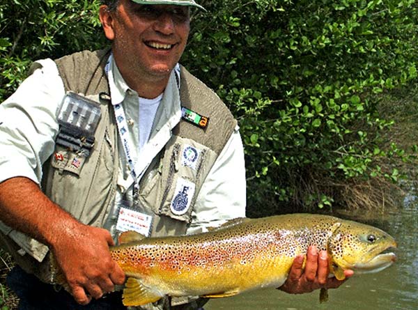 Huge Brown Trout