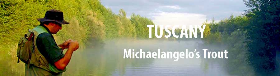 Michaelangelo’s Trout.