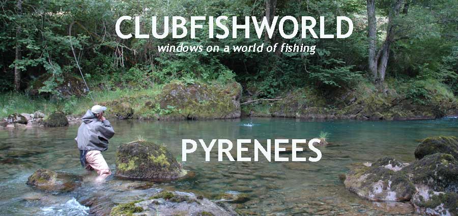 Trout fishing in the Pyrenees