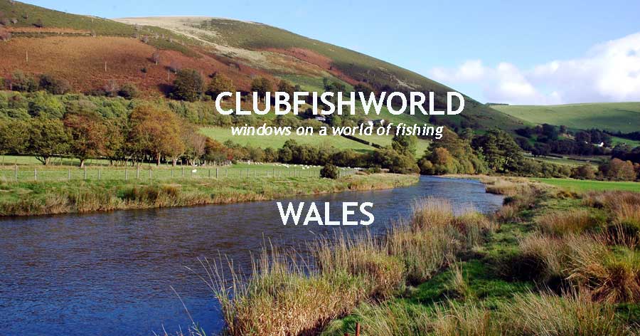 KING ARTHUR’S HOLY GRAYLING fly fishing for trout and grayling in Wales