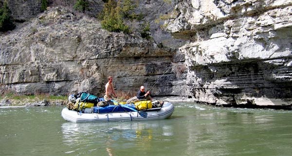 Madison River Brown Trout