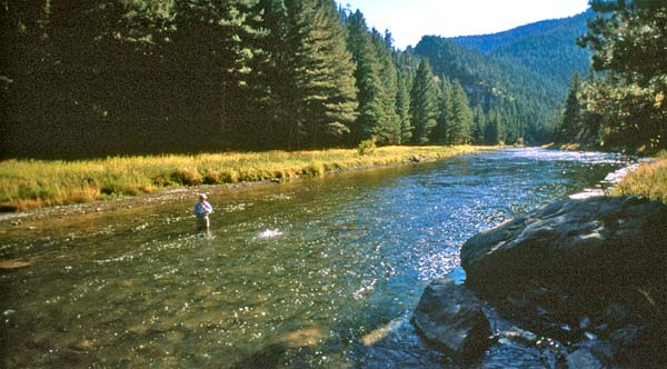 Drifting on the Madison River