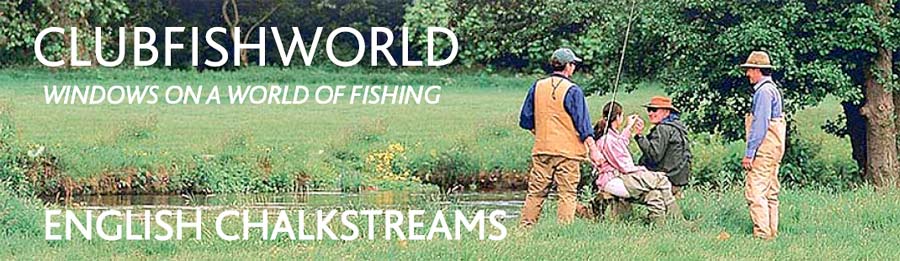 Fly fishing in English Chalkstreams