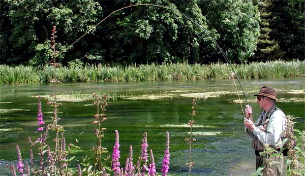 Southern England fly fishing