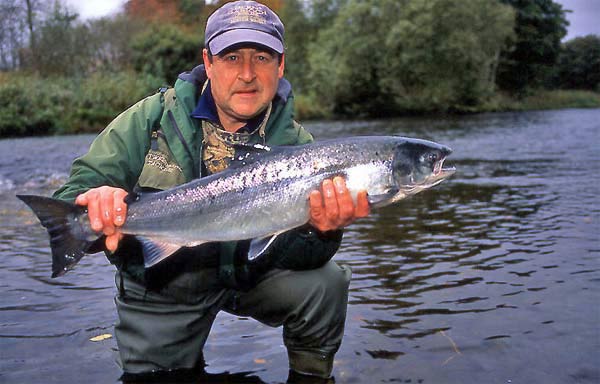 Scottish salmon