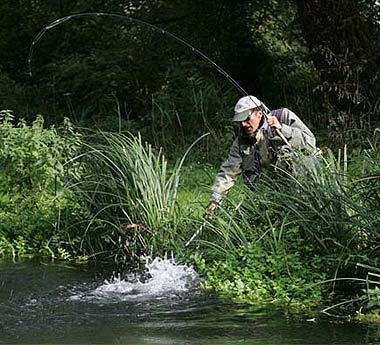 Any fisherman visiting the UK mainland and Ireland is spoilt for choice.