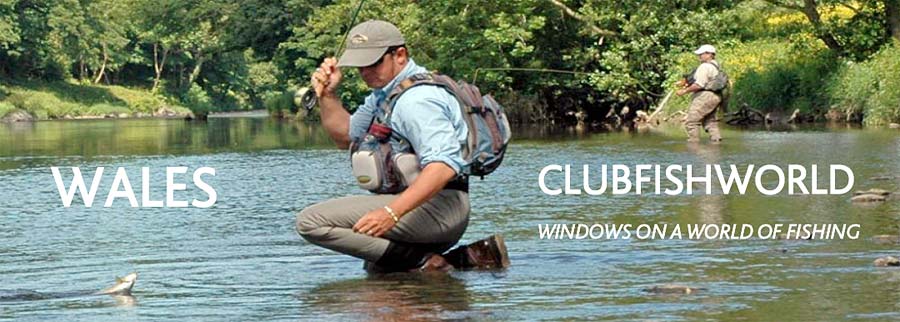 Fly fishing adventures in Wales