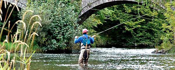 game angling in Wales